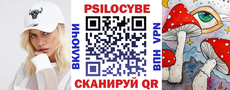как найти   Каргополь  KRAKEN ССЫЛКА  Галлюциногенные грибы мицелий 